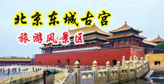 骚货啪啪视频中国北京-东城古宫旅游风景区